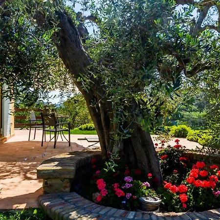 Casa Ulivo Διαμέρισμα *