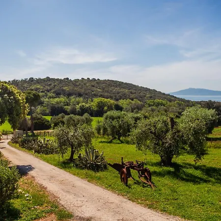 Διαμέρισμα Casa Ulivo