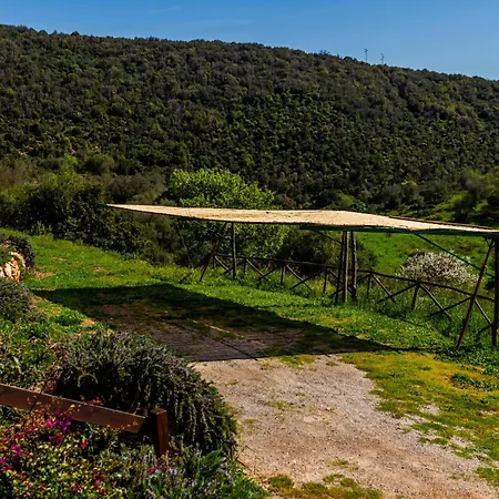 Διαμέρισμα Casa Ulivo Ορμπετέλλο