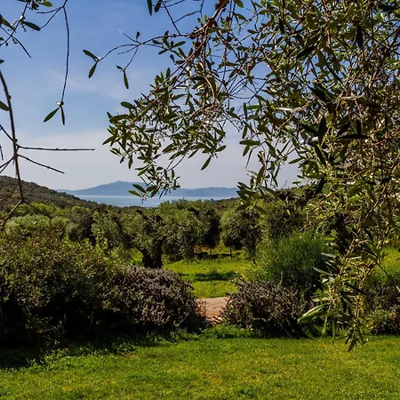 Casa Ulivo